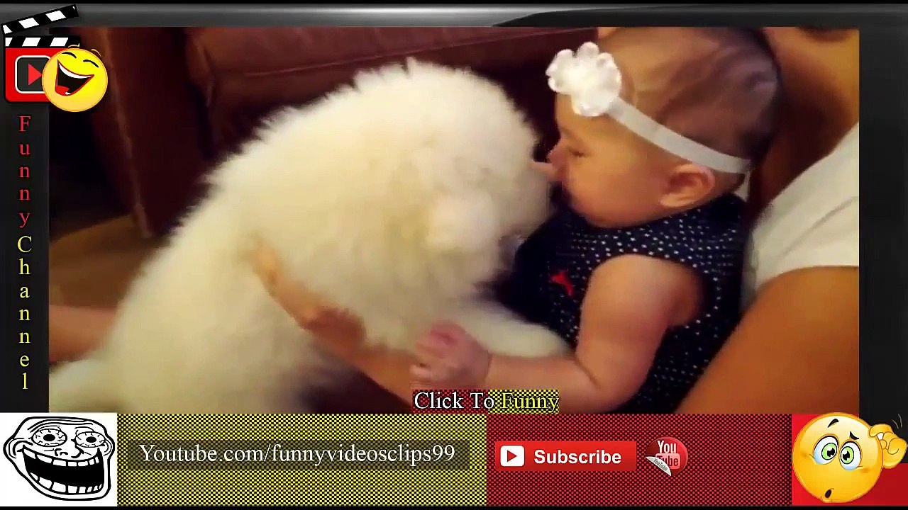 Funny Baby Videos ★ Baby And Puppy ★ Funny Baby And Dog Videos 704