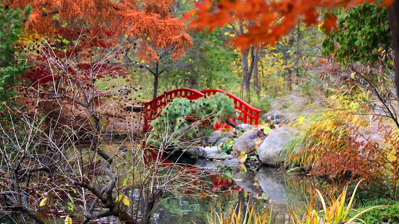 Relaxing Music to Calm your Cat, Relax Your Pet, Melody to Help your Dog and Kitty to Sleep