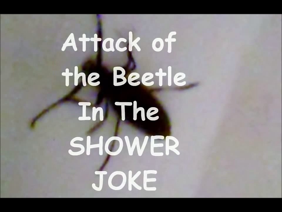 Beetle in the Shower Scare