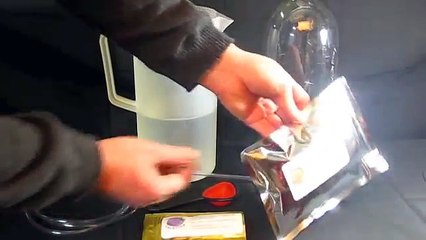 DIY How To Hatch Brine Shrimp Eggs