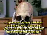 Cráneos de Dioses Sol descubiertos en Rusia Subtitulado