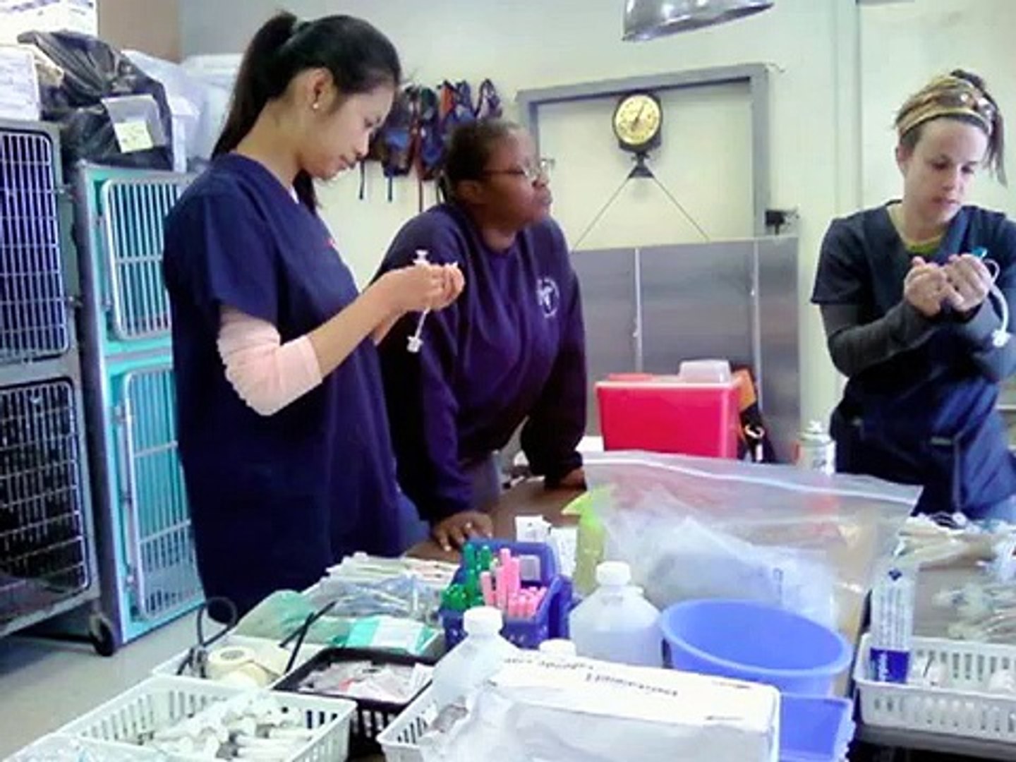 ⁣Native American Veterinary Service (NAVS) Documentary Film