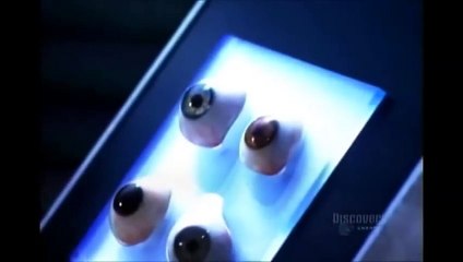 How its Made Artificial Eyes