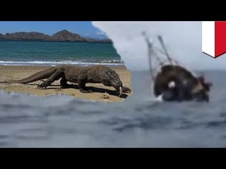 インドネシア船沈没　2人不明