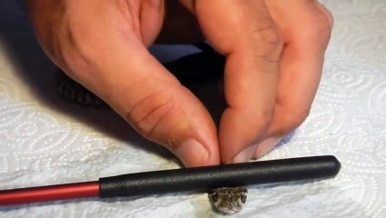 Hand Feeding a Western Diamond Back Baby