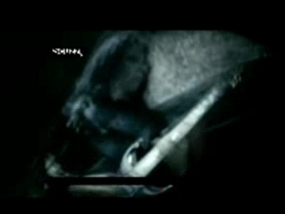 Cradle of Filth - Nymphetamine