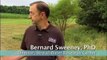 Streamside Forest Buffers Preserving Water Quality