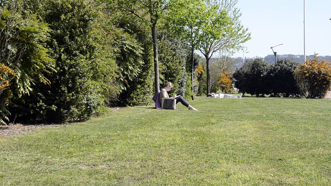 Gustave Flaubert et Emma Bovary