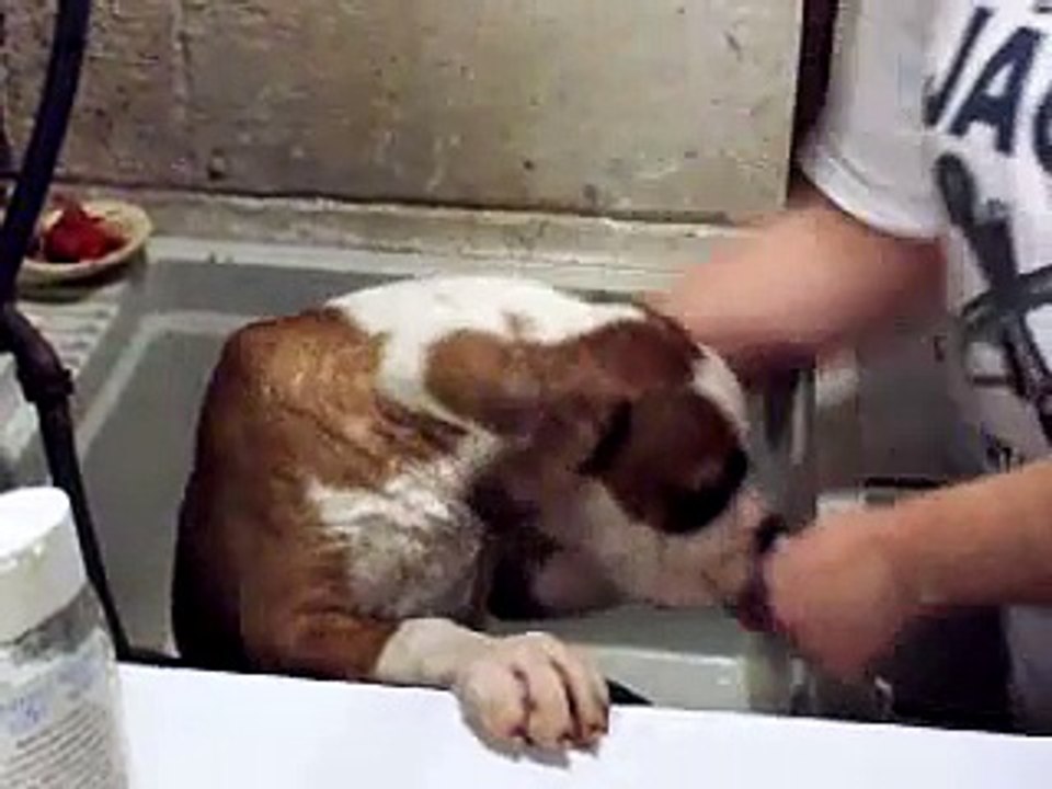 Bath Time