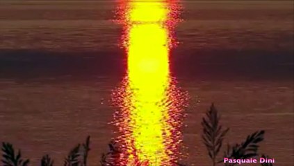 Silent Partner - Higher