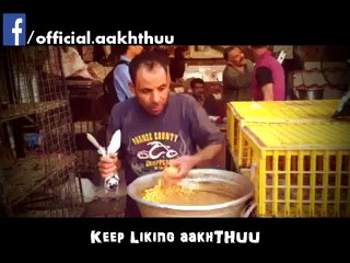 Unacceptable Act with Birds by Human