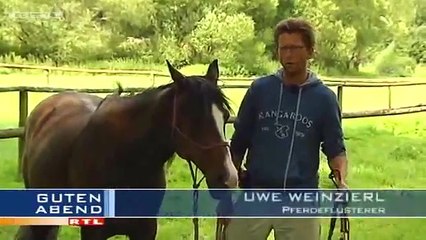 Uwe Weinzierl - Natural Horsemanship Trainer
