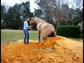 Natural Horsemanship at it's best