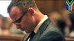 Oscar Pistorius trial: Neighbor says she heard a woman screaming, followed by gunshots