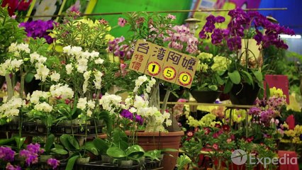 Taipei Vacation Travel Guide | Expedia