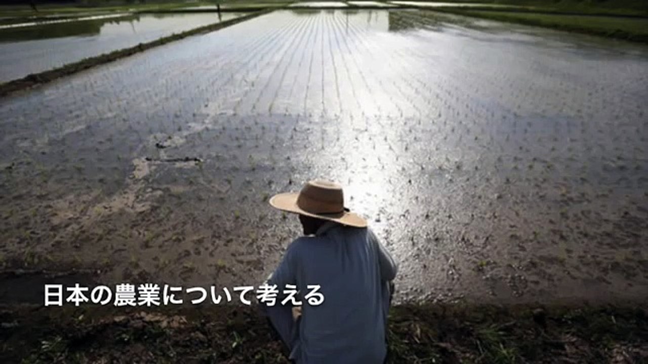【TPP問題】このままでは食料を巡った戦争が起こってしまう。食料自給率のからくりって知ってますか？減反政策は廃止がよい。