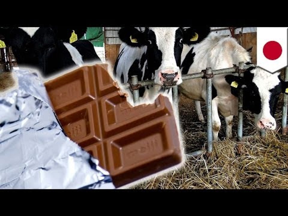チョコ各社一斉値上げ　背景は