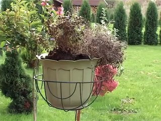 Tautas dziednieks Ilmārs Briedis