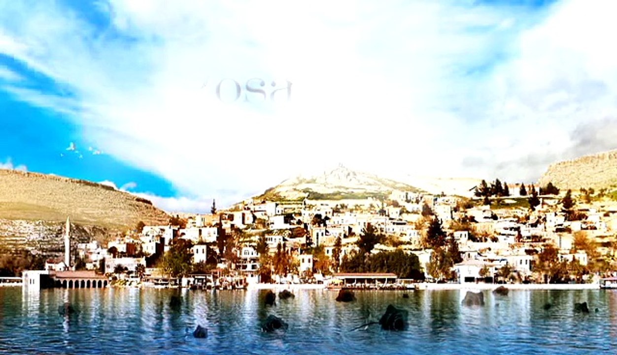 51-rosa-avance