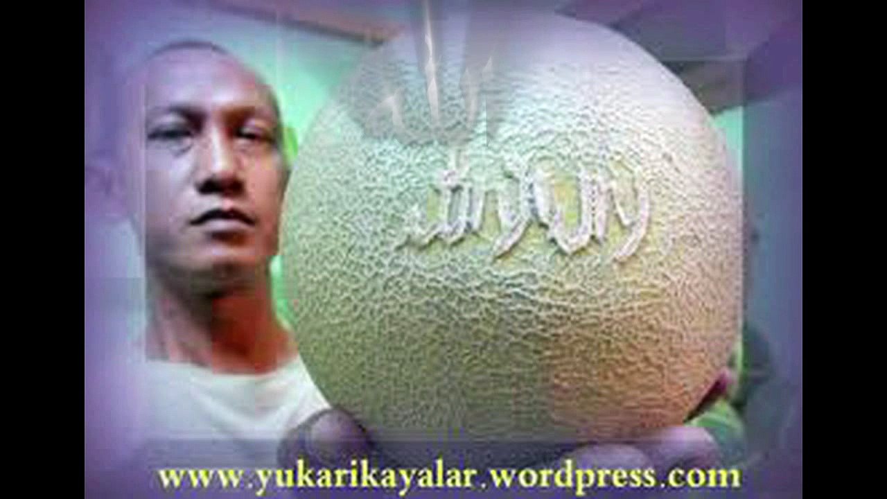 islamic miracle معجزات الله في خلقه سبحان الله لن تصدق ما سترى والله سوف تذهل