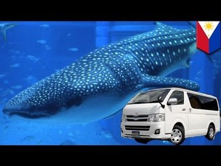 セブ島で車激突　邦人１人死亡