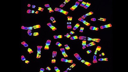 Initiation à la biologie moléculaire
