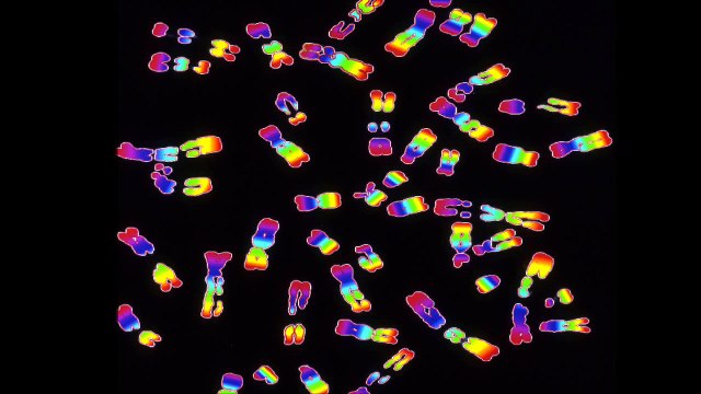 Initiation à la biologie moléculaire
