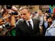 Oscar Pistorius shooting of Reeva Steenkamp: affidavit animated