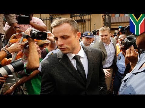 Oscar Pistorius shooting of Reeva Steenkamp: affidavit animated