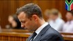 Oscar Pistorius trial: Pistorius told security guard everything was fine after shooting