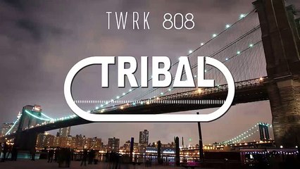 Faustix & Fabian Mazur - Twrk 808