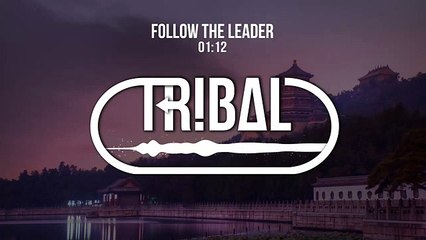 FeestDJRuud - Follow The Leader