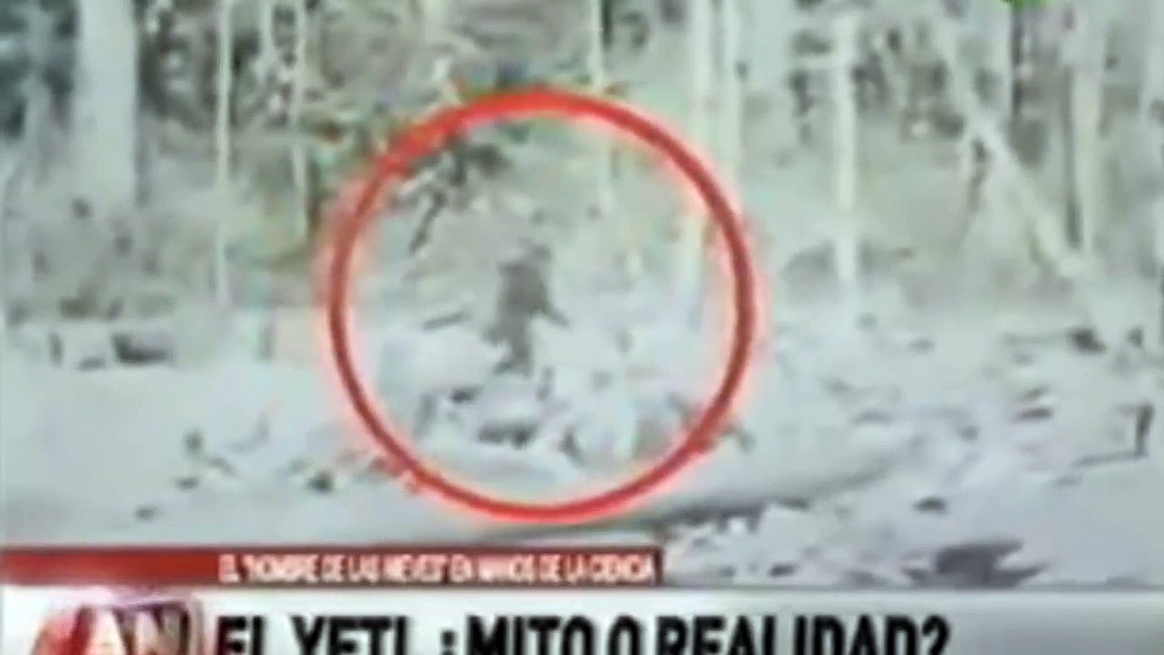 REAL BIGFOOT  YETI COMPILATION 2015! ✔
