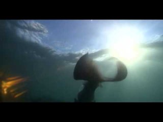 DYESEBEL: Ang Huling 4 na Gabi