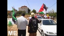 Demonstrations in Bil'in. Protesters march with flags of Palestine