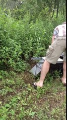 I get sprayed by a skunk