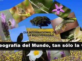 DÍA MUNDIAL DE LA BIODIVERSIDAD (22 DE MAYO 2014) EL PLANETA TIERRA. FLORA, FAUNA Y ekologia.com.ve