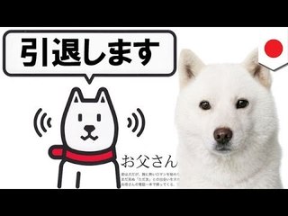 ソフトバンクＣＭお父さん引退