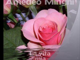 AMEDEO MINGHI - La vita mia