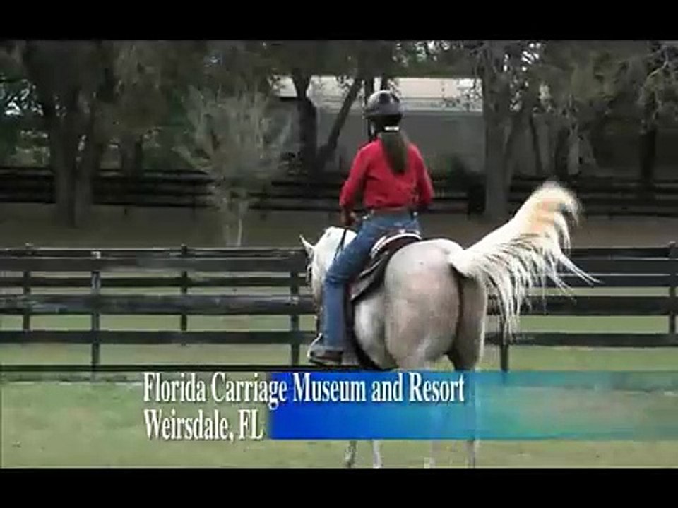 Horse Master with Julie Goodnight - 115