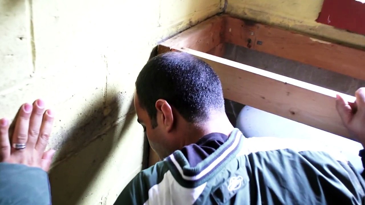 Ultimate Protection Dog Training by Protection Dogs Plus