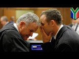 Pistorius trial: Second witness says she heard an argument following by four consecutive gunshots