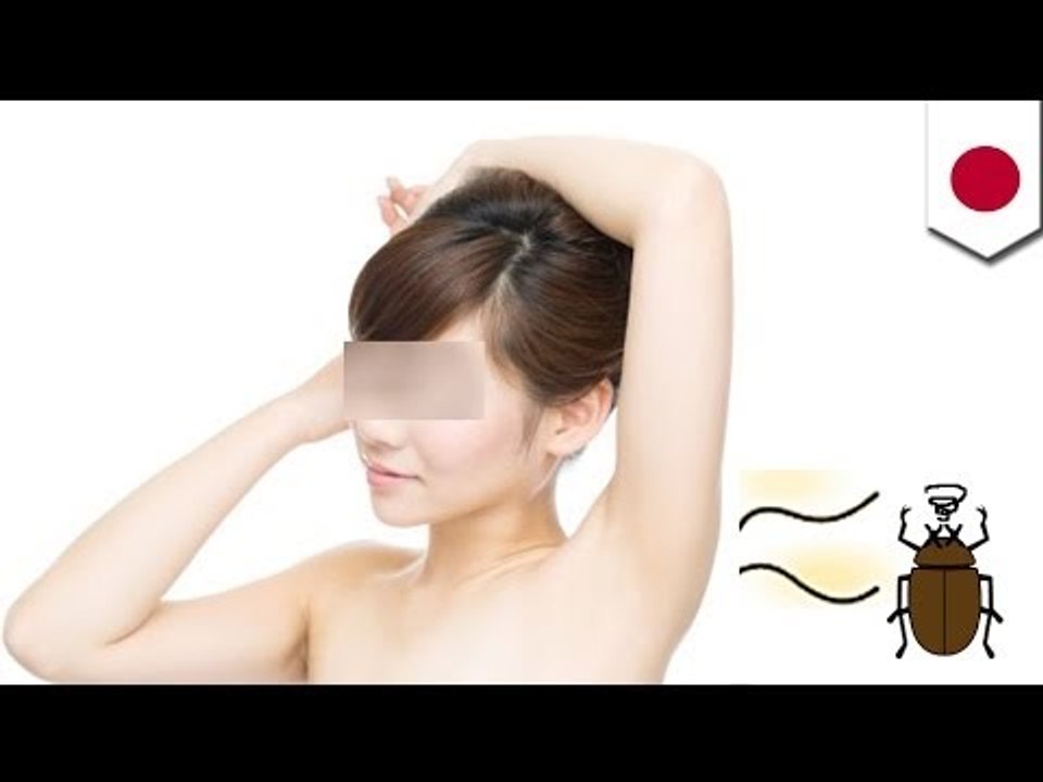 Okinawa pest control experts find sexual pheromone to expel harmful insects