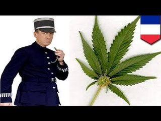 TESTING POSITIVE: 60 kg of confiscated weed causes a stink for French cops