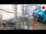 Fukushima nuclear plant leaks radioactive water