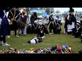 Nihang Sikh warriors perform Gatka display of martial skills