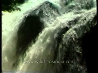 Vasudhara Falls - Saraswati river disappears into chasm and reappears at Allahabad!