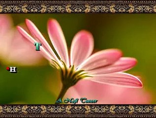 Tamer CONKER *Hüsnüne Güvenme Ey Rû-yi Mahım*