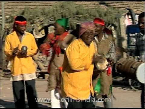Dancers at Siddhi village in Gujarat