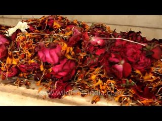 Mirza Ghalib's Tomb at Nizamuddin, Delhi